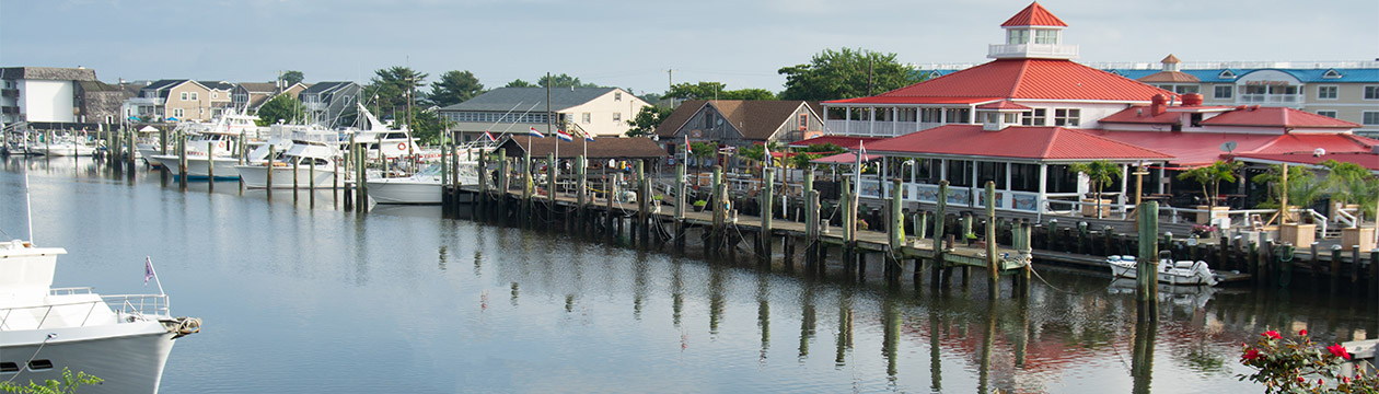 A nautical scene of a canal in a small town with roses in the foreground